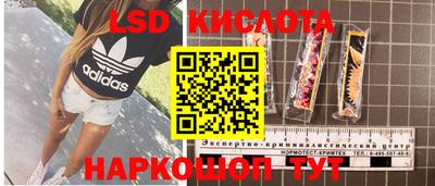 PSILOCYBIN Железноводск