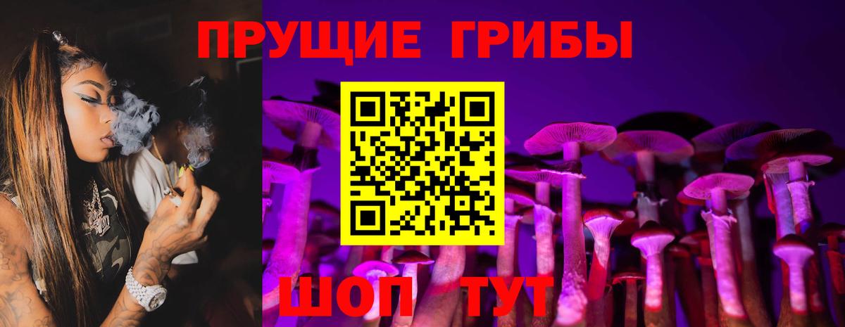 Псилоцибиновые грибы MAGIC MUSHROOMS Сибай